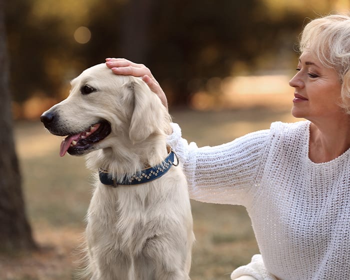 Veterinary Diagnostic Laboratory for Dogs, Apple Valley Vet Lab