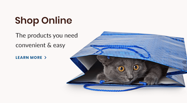 Shop for Pet Products Online