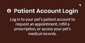 Patient Account Login